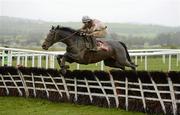 25 April 2012; Marasonnien, with Paul Townend up, on their way to winning the Irish Daily Mirror War Of Attrition Novice Hurdle. Punchestown Racing Festival, Punchestown Racecourse, Punchestown, Co. Kildare. Picture credit: Stephen McCarthy / SPORTSFILE