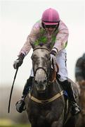 25 April 2012; Champagne Fever, with Patrick Mullins up, on their way to winning the betchronicle.com Champion I.N.H. Flat Race. Punchestown Racing Festival, Punchestown Racecourse, Punchestown, Co. Kildare. Picture credit: Barry Cregg / SPORTSFILE