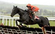 25 April 2012; Jetson, with Robbie Power up, jumps the last during the Irish Daily Mirror War Of Attrition Novice Hurdle. Punchestown Racing Festival, Punchestown, Co. Kildare. Picture credit: Stephen McCarthy / SPORTSFILE