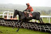 25 April 2012; Jetson, with Robbie Power up, jumps the last during the Irish Daily Mirror War Of Attrition Novice Hurdle. Punchestown Racing Festival, Punchestown, Co. Kildare. Picture credit: Stephen McCarthy / SPORTSFILE