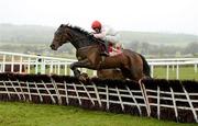 25 April 2012; Vesper Bell, with DJ Casey up, jumps the last during the Irish Daily Mirror War Of Attrition Novice Hurdle. Punchestown Racing Festival, Punchestown, Co. Kildare. Picture credit: Stephen McCarthy / SPORTSFILE