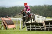 26 April 2012; Tofino Bay, with Davy Russell up, jump the last on their way to winning the Stephens Green Hibernian Club Hurdle. Punchestown Racing Festival, Punchestown Racecourse, Punchestown, Co. Kildare. Picture credit: Barry Cregg / SPORTSFILE