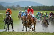 26 April 2012; De Danu, right, with Nigel Slevin up, leads Double Dizzy, centre, with Andrew Glassonbury up, and Shalimar Fromentro, left, with James Reveley up, as they tackle Joe's Water Splash during the Avon Ri Corporate & Leisure Resort Steeplechase for the La Touche Cup. Punchestown Racing Festival, Punchestown Racecourse, Punchestown, Co. Kildare. Picture credit: Barry Cregg / SPORTSFILE