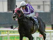 7 May 2012; Windsor Palace, with Colm O'Donoghue up, on their way to winning the High Chaparral European Breeders Fund Mooresbridge Stakes. The Curragh Racecourse, The Curragh, Co. Kildare. Picture credit: Matt Browne / SPORTSFILE