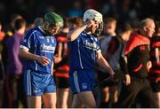 29 October 2017; Stephen Cahill, left, and Michael Cahill of Thurles Sarsfields react after the AIB Munster GAA Hurling Senior Club Championship Quarter-Final match between Ballygunner and Thurles Sarsfields at Walsh Park in Waterford. Photo by Diarmuid Greene/Sportsfile