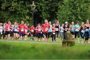 25 August 2012; A general view of competitors in action during the Frank Duffy 10 Mile. Phoenix Park, Dublin. Picture credit: Tomas Greally / SPORTSFILE