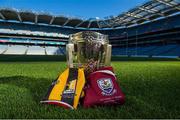 7 September 2012; The Liam MacCarthy Cup with the Kilkenny and Galway match jerseys ahead of the GAA Hurling All-Ireland Senior Championship final between Kilkenny and Galway in Croke Park on Sunday. Croke Park, Dublin. Picture credit: Brendan Moran / SPORTSFILE