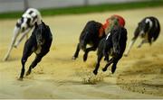 8 September 2012; Skywalker Puma, left, on the way to winning the Ladbrokes Irish Greyhound Derby 2012 ahead of 2nd place Cuil Cougar, right. Shelbourne Park, Ringsend, Dublin. Photo by Sportsfile