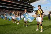 30 September 2012; A general view of flagbearers before the start of the game. GAA Hurling All-Ireland Senior Championship Final Replay, Kilkenny v Galway, Croke Park, Dublin. Picture credit: David Maher / SPORTSFILE