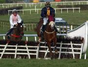 25 January 2003; Newlands Gold with David Casey up, jumps the last on the way to winning the European Breeders Fund Irish Racing Writers Novice Hurdle, Naas Races, Naas, Co. Kildare. Horse Racing. Picture credit; Damien Eagers / SPORTSFILE *EDI*