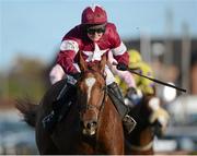 3 November 2012; Beef To The Heels, with Jane Mangan up, on their way to winning The Billecart-Salmon Handicap Hurdle. Down Royal Racecourse, Maze, Lisburn, Co Down. Picture credit: Matt Browne / SPORTSFILE