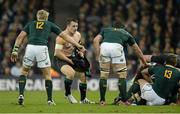 10 November 2012; A shirtless Cian Healy, Ireland, in action during the game. Autumn International, Ireland v South Africa, Aviva Stadium, Lansdowne Road, Dublin. Picture credit: Stephen McCarthy / SPORTSFILE