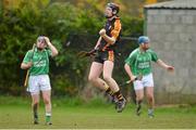 14 November 2012; David Dempsey, Ard Scoil Rís, celebrates after scoring his side's second goal. Munster Colleges Dr. Harty Cup Senior A Hurling, Ard Scoil Rís, Limerick v St Colman's, Fermoy. Cahir, Co. Tipperary. Picture credit: Diarmuid Greene / SPORTSFILE