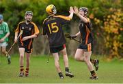 14 November 2012; David Dempsey, Ard Scoil Rís, celebrates with team-mate Micheál O'Loughlin, 15, after scoring his side's second goal. Munster Colleges Dr. Harty Cup Senior A Hurling, Ard Scoil Rís, Limerick v St Colman's, Fermoy. Cahir, Co. Tipperary. Picture credit: Diarmuid Greene / SPORTSFILE