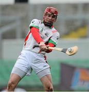 18 November 2012; Joe Fitzpatrick, Rathdowney / Errill. AIB Leinster GAA Hurling Senior Championship Semi-Final, Kilcormac / Killoughey, Offaly v Rathdowney / Errill, Laois, O'Connor Park, Tullamore, Co. Offaly. Picture credit: David Maher / SPORTSFILE