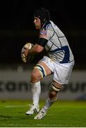 23 November 2012; Sean O'Brien, Leinster. Celtic League 2012/13, Round 9, Glasgow Warriors v Leinster, Scotstoun Stadium, Glasgow, Scotland. Picture credit: Stephen McCarthy / SPORTSFILE