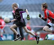 27 November 2012; The Terenure Junior School captain Seamus Noone races clear of his opposite number Joseph Sweeney during his side's 1-13 to 2-6 victory over Divine Word Marley in the Corn Mhic Chaoilte at the Allianz Cumann na mBunscol Finals, Croke Park, Dublin. Some 1,200 players took part in the finals which were played at the GAA head quarters over the last two days. Picture credit: Ray McManus / SPORTSFILE