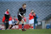 27 November 2012; Terenure Junior School's Ewan Sweeney celebrates winning Corn Mhic Chaoilte. Terenure Junior beat Divine Word Marley 1-13 to 2-6 at the Allianz Cumann na mBunscol Finals, Croke Park, Dublin. Some 1,200 players took part in the finals which were played at the GAA headquarters over the last two days. Picture credit: Ray McManus / SPORTSFILE