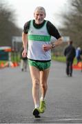 1 January 2013; Dave Brady, Raheny Shamrocks A.C, competes in the 2013 Tom Brennan Memorial Trophy 5K Road Race. Phoenix Park, Dublin. Picture credit: Pat Murphy / SPORTSFILE