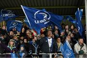 19 January 2013; Leinster supporters during the game. Heineken Cup, Pool 5, Round 6, Exeter Chiefs v Leinster, Sandy Park, Exeter, England. Picture credit: Stephen McCarthy / SPORTSFILE