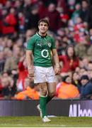 2 February 2013; Conor Murray, Ireland, leaves the pitch after picking up a yellow card. RBS Six Nations Rugby Championship, Wales v Ireland, Millennium Stadium, Cardiff, Wales. Picture credit: Stephen McCarthy / SPORTSFILE
