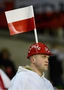 6 February 2013; A Poland supporter at the game. International Friendly, Republic of Ireland v Poland, Aviva Stadium, Lansdowne Road, Dublin. Picture credit: David Maher / SPORTSFILE