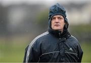 7 February 2013; Nicky English, UCD manager. Irish Daily Mail Fitzgibbon Cup, Round 2, DCU v UCD, DCU Sportsgrounds, Ballymun, Dublin. Picture credit: Oliver McVeigh / SPORTSFILE