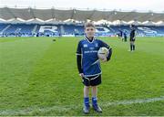 16 February 2013; Leinster mascot Liam Nicholson, from Wicklow town. Celtic League 2012/13, Round 15, Leinster v Benetton Treviso, RDS, Ballsbridge, Dublin. Picture credit: Brendan Moran / SPORTSFILE