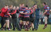 21 February 2013; St. Munchin's players and supporters celebrate after victory over Ardscoil Ris. Munster Schools Senior Cup Quarter-Final, Ardscoil Ris v St. Munchin's, Annacotty, Limerick. Picture credit: Diarmuid Greene / SPORTSFILE