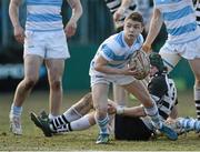 3 March 2013; Charlie Rock, Blackrock College. Powerade Leinster Schools Senior Cup Semi-Final, Blackrock College v Cistercian College Roscrea, Donnybrook Stadium, Donnybrook, Dublin. Picture credit: Brian Lawless / SPORTSFILE