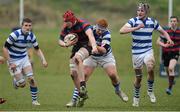 5 March 2013; Lee Nicholas, St Munchin's, is tackled by James Maxwell, Rockwell College. Munster Schools Senior Cup Semi-Final, Rockwell College v St Munchin's College, Clanwilliam RFC, Clanwilliam Park, Tipperary Town, Tipperary. Picture credit: Diarmuid Greene / SPORTSFILE