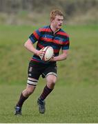 5 March 2013; Tom O'Dwyer, St Munchin's. Munster Schools Senior Cup Semi-Final, Rockwell College v St Munchin's College, Clanwilliam RFC, Clanwilliam Park, Tipperary Town, Tipperary. Picture credit: Diarmuid Greene / SPORTSFILE