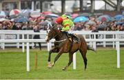 15 March 2013; Our Conor, with Bryan Cooper up, on the way to winning the JCB Triumph Hurdle. Cheltenham Racing Festival 2013, Prestbury Park, Cheltenham, England. Picture credit: Barry Cregg / SPORTSFILE