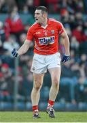 16 March 2013; Noel O'Leary, Cork, celebrates a late score for his side. Allianz Football League, Division 1, Cork v Donegal, Pairc Ui Rinn, Cork. Picture credit: Diarmuid Greene / SPORTSFILE