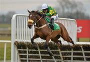 1 April 2013; Dressedtothenines, with Tony McCoy up, on the way to winning the Keelings Irish Strawberry Hurdle. Fairyhouse Easter Racing Festival, Fairyhouse Racecourse, Co. Meath. Picture credit: Barry Cregg / SPORTSFILE