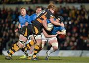 5 April 2013; Sean O'Brien, Leinster, is tackled by Joe Launchbury and Rhys Thomas, Wasps. Amlin Challenge Cup Quarter-Final 2012/13, London Wasps v Leinster, Adams Park, High Wycombe, England. Picture credit: Brendan Moran / SPORTSFILE