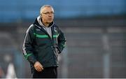 6 April 2013; Limerick manager John Allen. Allianz Hurling League, Division 1B Play-Off, Dublin v Limerick, Semple Stadium, Thurles, Co. Tipperary. Picture credit: Diarmuid Greene / SPORTSFILE