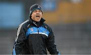 6 April 2013; Dublin manager Anthony Daly. Allianz Hurling League, Division 1B Play-Off, Dublin v Limerick, Semple Stadium, Thurles, Co. Tipperary. Picture credit: Diarmuid Greene / SPORTSFILE