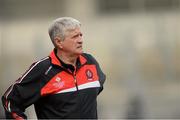 28 April 2013; Derry manager Brian McIver. Allianz Football League Division 2 Final, Derry v Westmeath, Croke Park, Dublin. Picture credit: Oliver McVeigh / SPORTSFILE