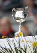 28 April 2013; A view of the Allianz Football League Division 2 Cup. Allianz Football League Division 2 Final, Derry v Westmeath, Croke Park, Dublin. Picture credit: Stephen McCarthy / SPORTSFILE