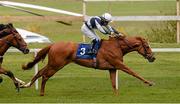 12 May 2013; Duntle, with Wayne Lordan up, and wearing the new silks of the owners, Flaxman Stables Ireland Limited, on the way to winning the Amethyst Stakes. Leopardstown Racecourse, Leopardstown, Co. Dublin. Picture credit: Ray McManus / SPORTSFILE