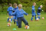 15 May 2013; A general view of U8's in action at the presentation of the Aviva Club of the Month Award to Esker Celtic FC for March 2013. The prestigious award, which is the benchmark for how well Irish football clubs are performing on and off the pitch, is run from October through to May with a different club selected every month as the Aviva Club of the Month, receiving €1,500 to assist in their overall development. Each of the monthly winners then go forward as finalists to the Club of the Year which is chosen at the FAI Festival of Football and AGM. Esker Celtic FC, Hermitage Park, Lucan, Co. Dublin. Picture credit: Barry Cregg / SPORTSFILE