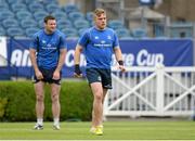 16 May 2013; Leinster's Ian Madigan and Fergus McFadden during the captain's run ahead of their Amlin Challenge Cup final against Stade Francais on Friday. Leinster Rugby Captain's Run, RDS, Ballsbridge, Dublin. Picture credit: Matt Browne / SPORTSFILE