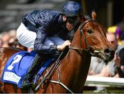 25 May 2013; Coach House, with Joseph O'Brien up, on the way to winning the Cold Move European Breeders Fund Marble Hill Stakes. Curragh Racecourse, The Curragh, Co. Kildare. Picture credit: Ray McManus / SPORTSFILE