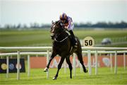 25 May 2013; Magician, with Joseph O'Brien up, on the way to winning the Tattersalls Irish 2,000 Guineas. Curragh Racecourse, The Curragh, Co. Kildare. Picture credit: Ray McManus / SPORTSFILE