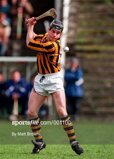 Kilkenny v Laois - National Hurling League