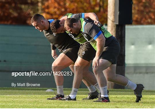 Ireland Rugby Squad Training and Press Conference