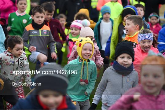 Holywell junior parkrun in partnership with Vhi