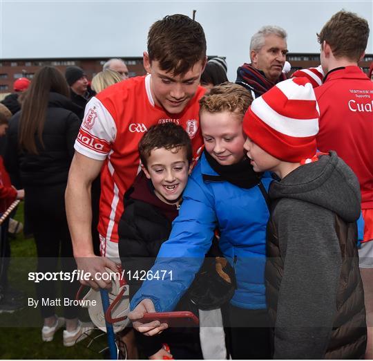 Cuala v Kilcormac Killoughey - AIB Leinster GAA Hurling Senior Club Championship Final