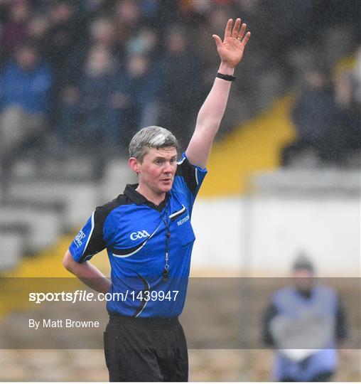 Kilkenny v Wexford - Bord na Mona Walsh Cup Final